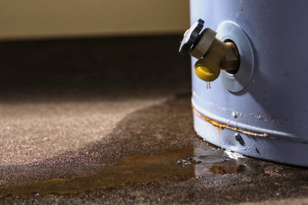 Best Emergency water damage restoration  in Osceola, IA