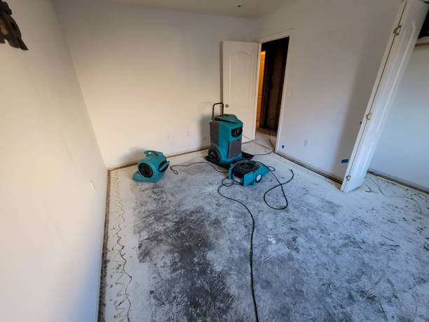 Best Commercial water damage restoration  in Osceola, IA